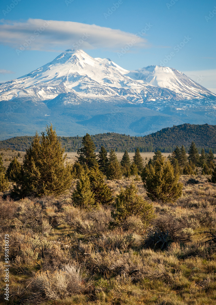 Mount Shasta View at the National Forest