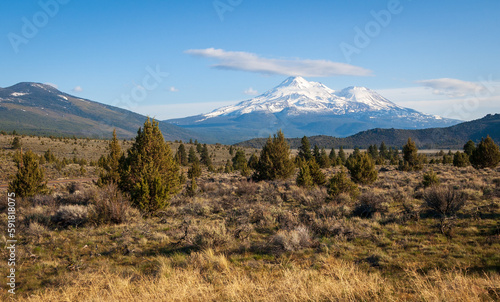 Mount Shasta View at the National Forest