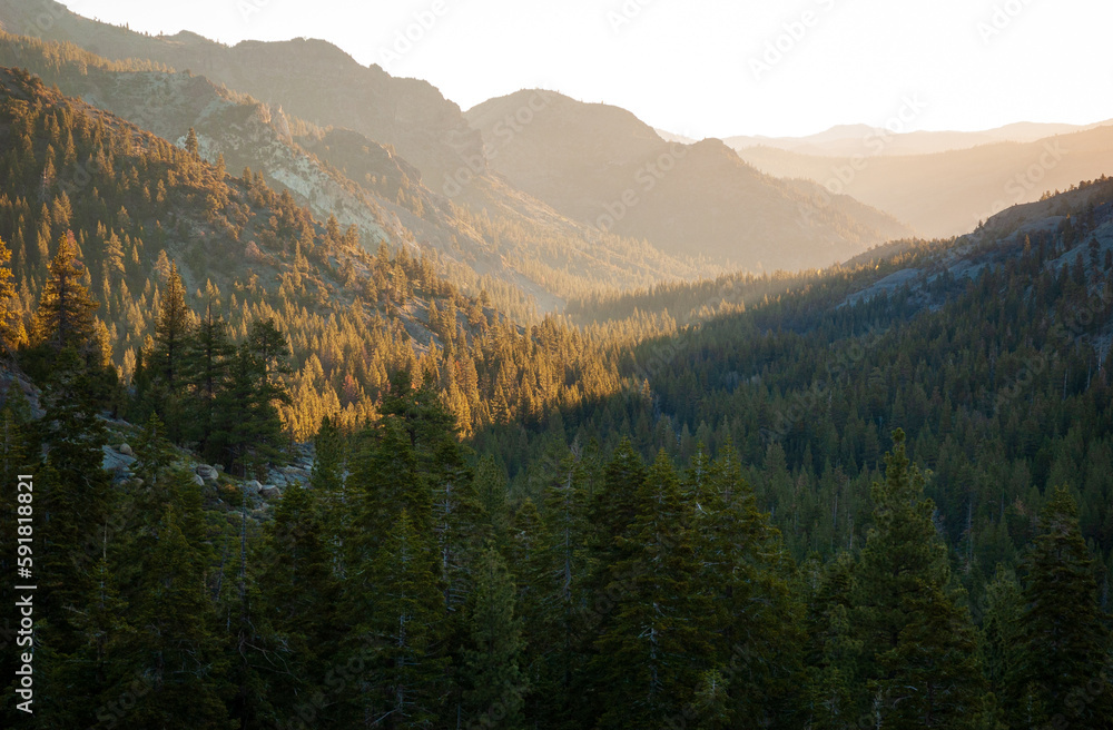 Morning at Stanislaus National Forest