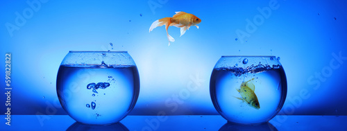 Goldfish jumping from glass fish bowl into another one on blue background