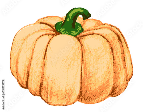 Orange pumpkin drawn with pastel pencils. Vector illustration