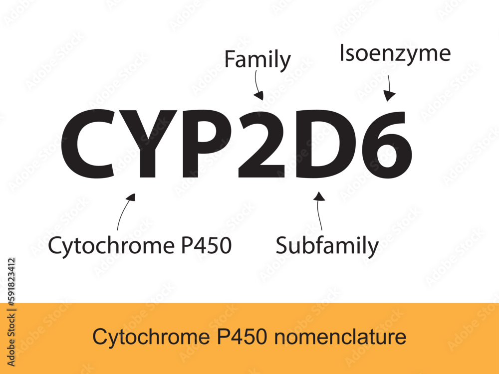 Cytochrome P450 CYP2C9 nomenclature diagram showing family, subfamily, enzyme and allele. Scientific illustration for biochemistry, pharmacology, biology education.