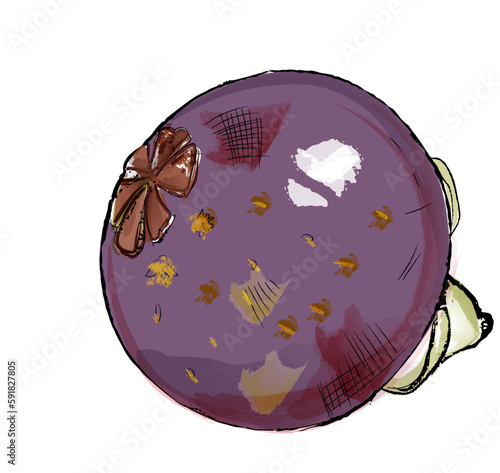 Mangosteen fruit isolated on white vector watercolor