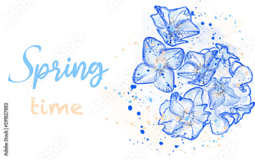 Spring card with blue flowers vector watercolor