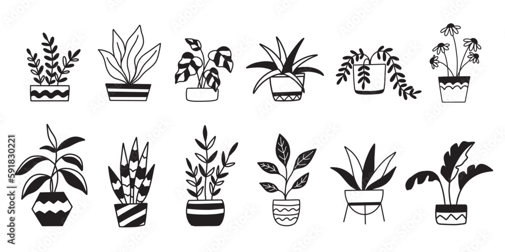 Potted houseplants in pots, House plants set