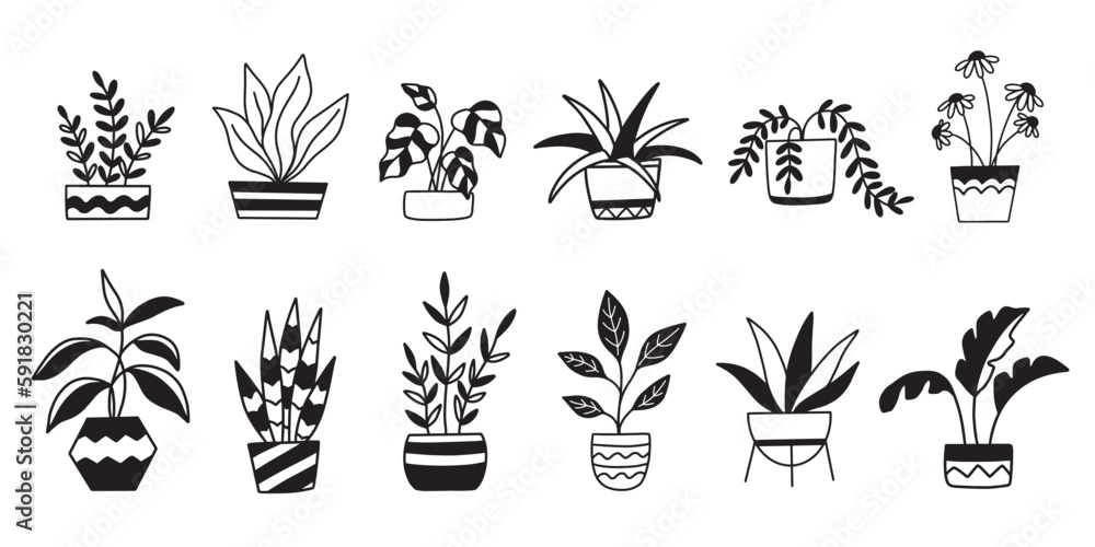 Potted houseplants in pots, House plants set Potted houseplants in pots, House plants set