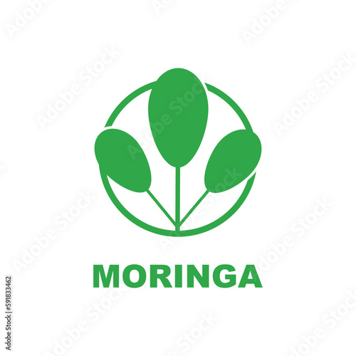 green moringa leaf logo, for herbal ingredients, moringa farming, health, medicine industry, beauty, therapy, concept design vector illustration icon template with a modern concept
