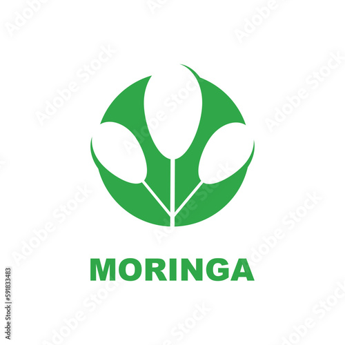green moringa leaf logo, for herbal ingredients, moringa farming, health, medicine industry, beauty, therapy, concept design vector illustration icon template with a modern concept