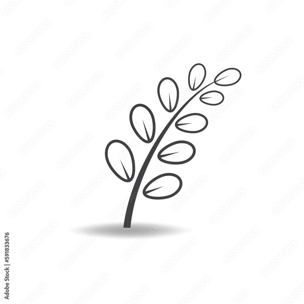 green moringa leaf logo, for herbal ingredients, moringa farming, health, medicine industry, beauty, therapy, concept design vector illustration icon template with a modern concept green moringa leaf logo, for herbal ingredients, moringa farming, health, medicine industry, beauty, therapy, concept design vector illustration icon template with a modern concept