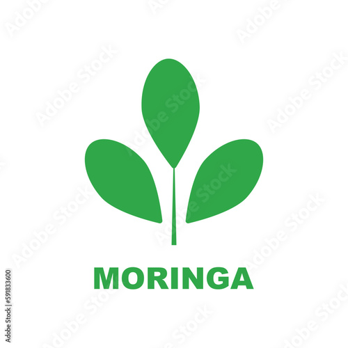 green moringa leaf logo, for herbal ingredients, moringa farming, health, medicine industry, beauty, therapy, concept design vector illustration icon template with a modern concept
