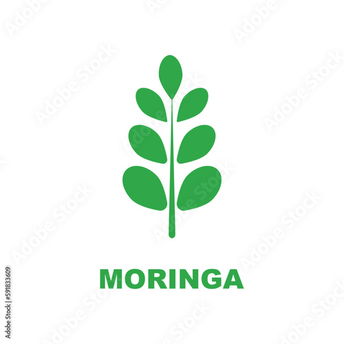 green moringa leaf logo, for herbal ingredients, moringa farming, health, medicine industry, beauty, therapy, concept design vector illustration icon template with a modern concept