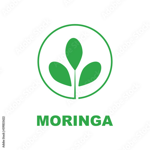 green moringa leaf logo, for herbal ingredients, moringa farming, health, medicine industry, beauty, therapy, concept design vector illustration icon template with a modern concept