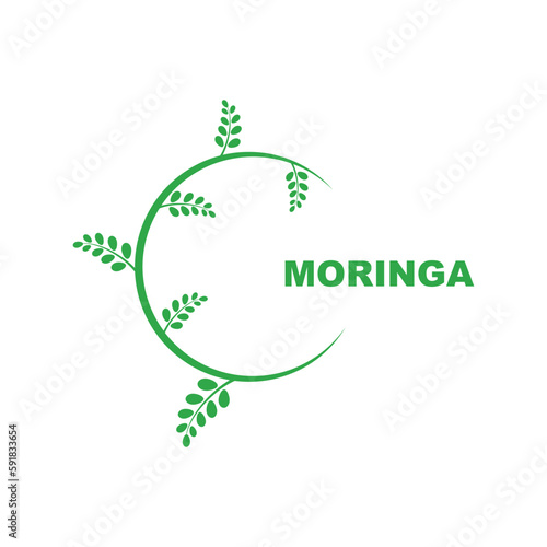 green moringa leaf logo, for herbal ingredients, moringa farming, health, medicine industry, beauty, therapy, concept design vector illustration icon template with a modern concept