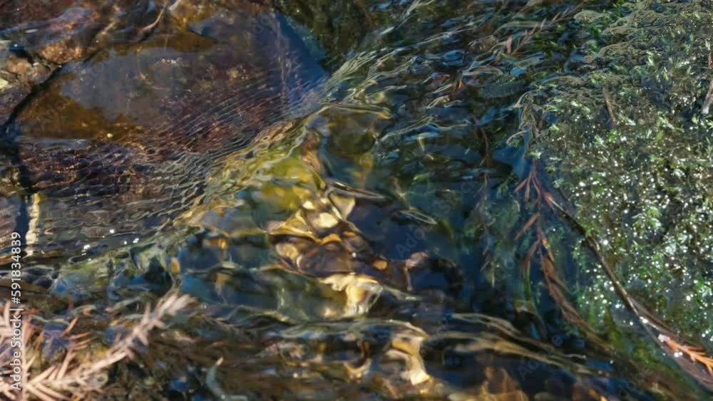 Small rocky creek with clear water Small rocky creek with clear water