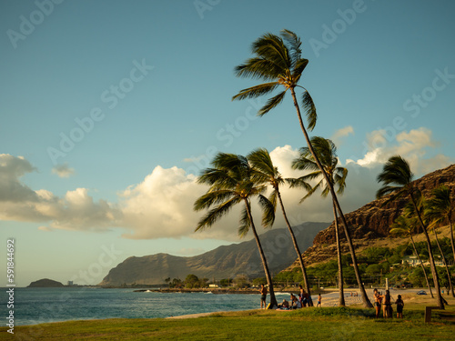 Quadro em tela Scenic view of palm trees at the ocean coast during daytime in Hawaii, O' ahu We