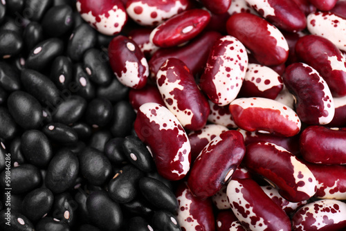 Different kinds of beans as background  closeup