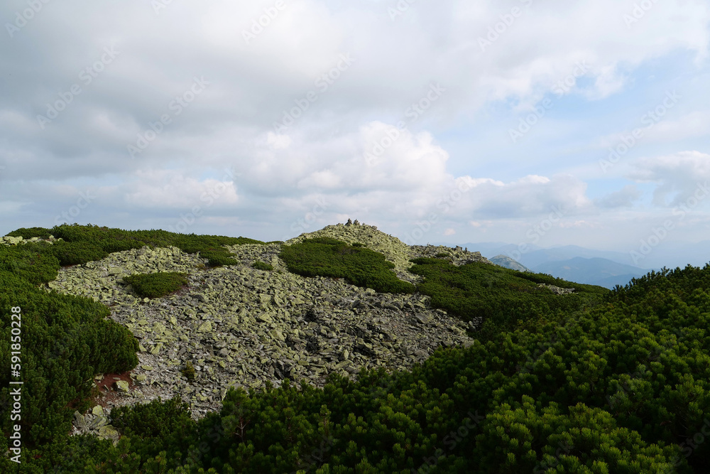 Stones covered with lichen in Gorgany - mountain range in Western Ukraine Stones covered with lichen in Gorgany - mountain range in Western Ukraine