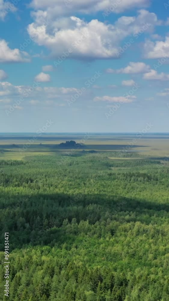 Aerial top view landscape with north forest at summer. Vertical video