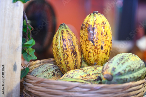 cacao côte d'ivoire