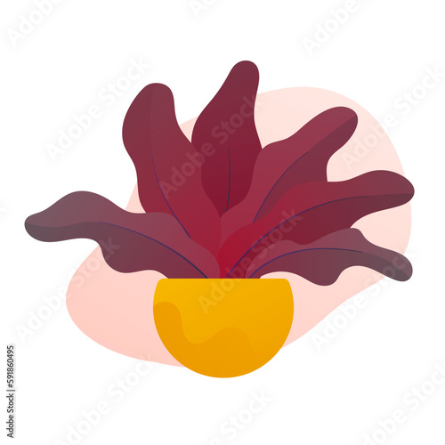 Set of abstract lush plants in flowerpots. Domestic gardening illustration in modern simple flat art style. Vector illustration isolated