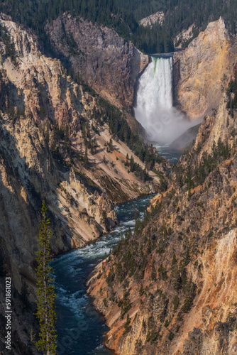 Yellowstone Falls Leading into Yellowstone River