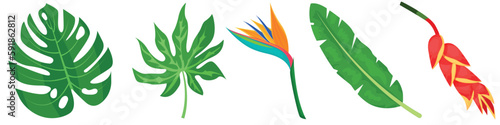 Vector cartoon image of tropical leaves. The concept of summer and a trip. A botanical element for your design.