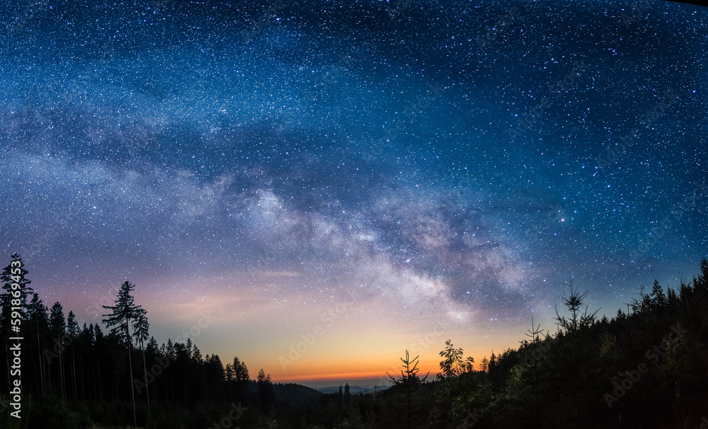 Obraz premium Aerial view of a beautiful forest at night in Germany