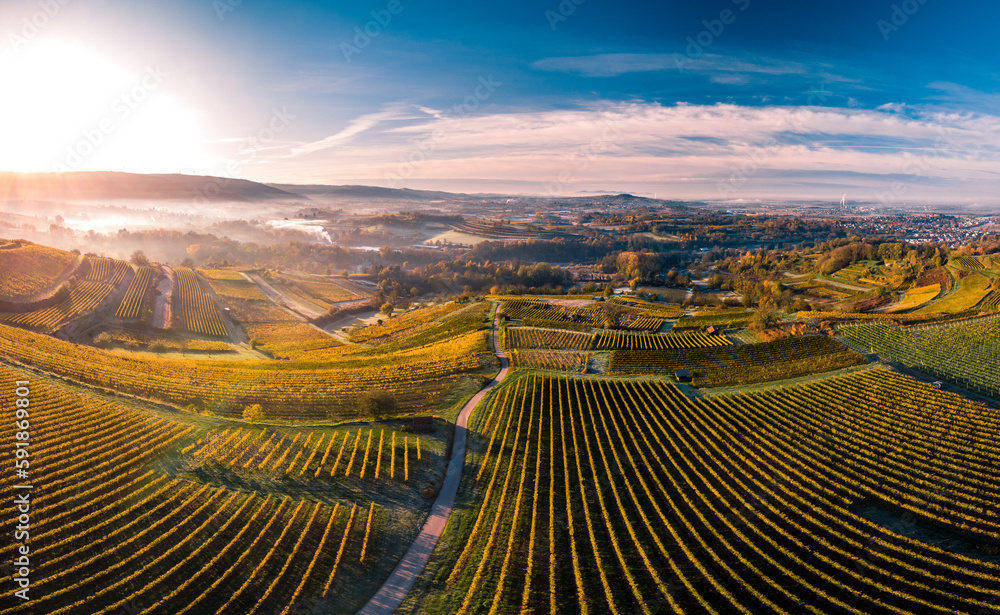 Fototapeta premium High angle view of a beautiful forest in Germany