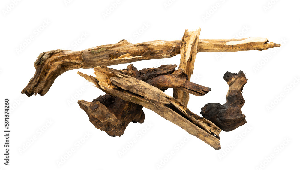 piles of dead wood isolated
