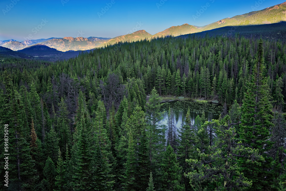 Nymph Lake through pine trees in Rocky Mountain National Park, Colorado, the USA