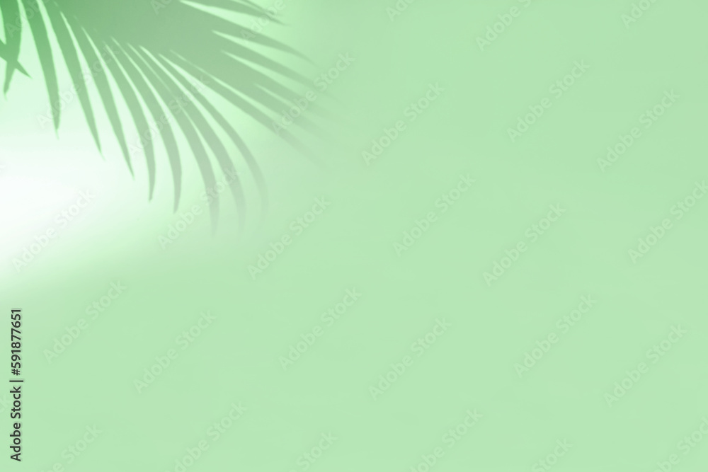 Minimal abstract background with blurry shadow of tropical palm leaves. Cosmetic product Presentation. Premium podium. Pastel light empty green wall. Showcase, display case, Front view. Modern mockup