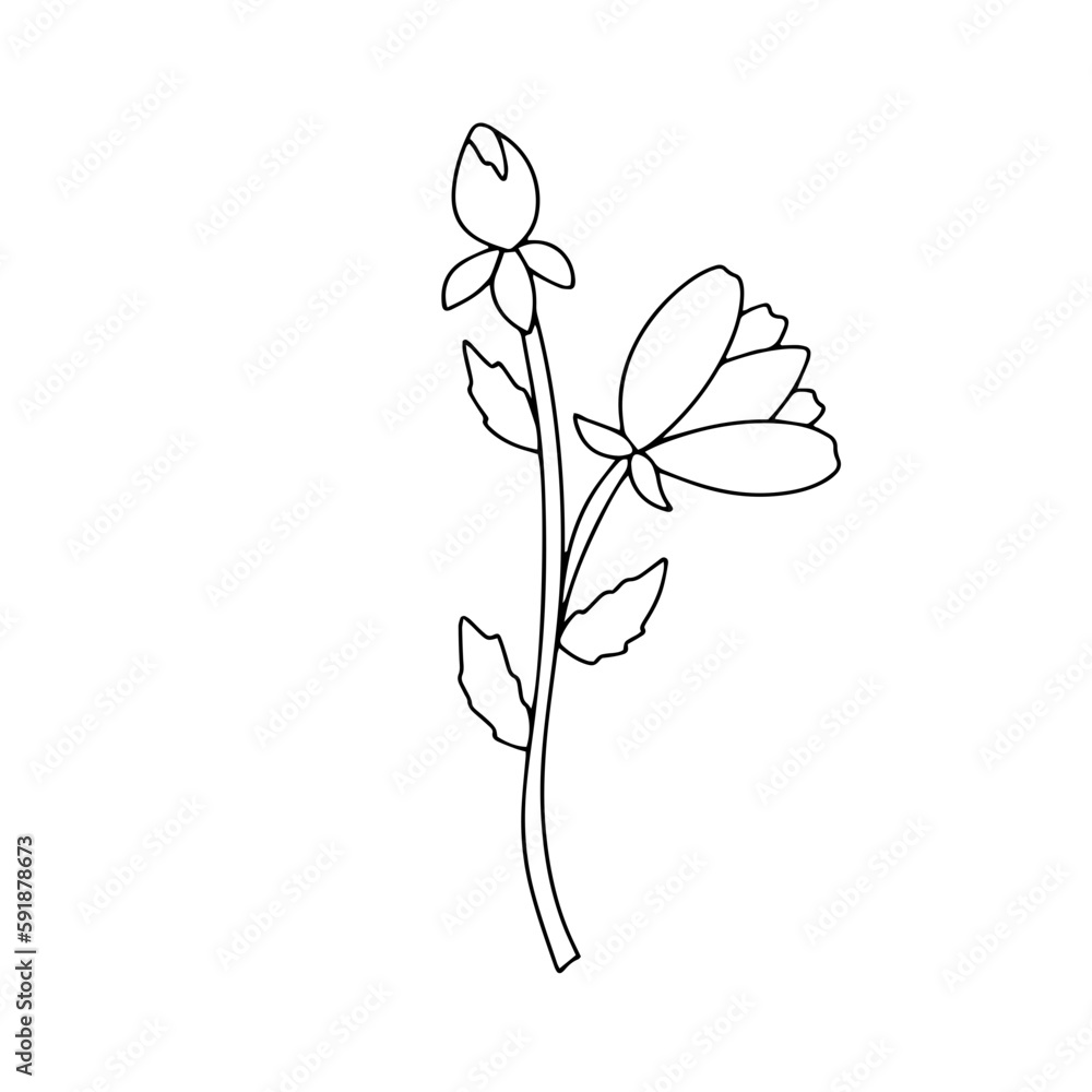 Flower Element Flower Element