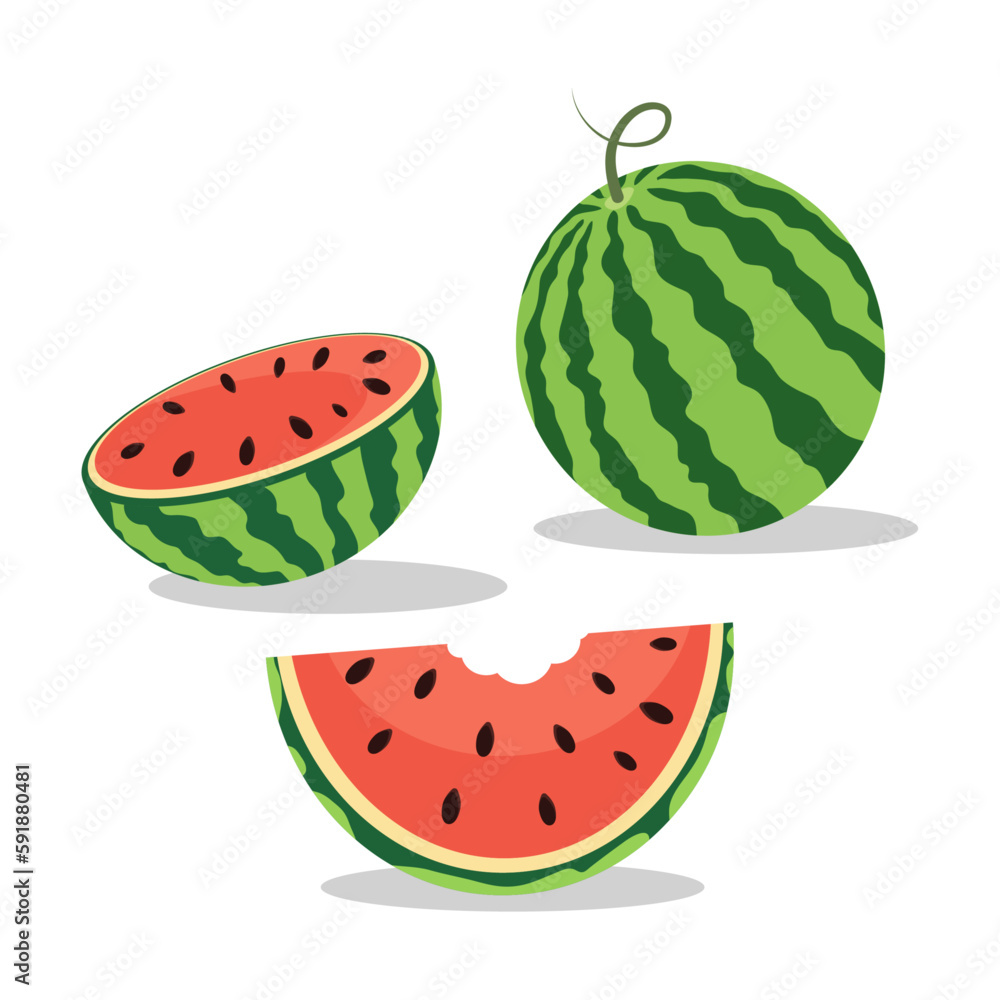 Watermelon on white background, vector illustration Watermelon on white background, vector illustration