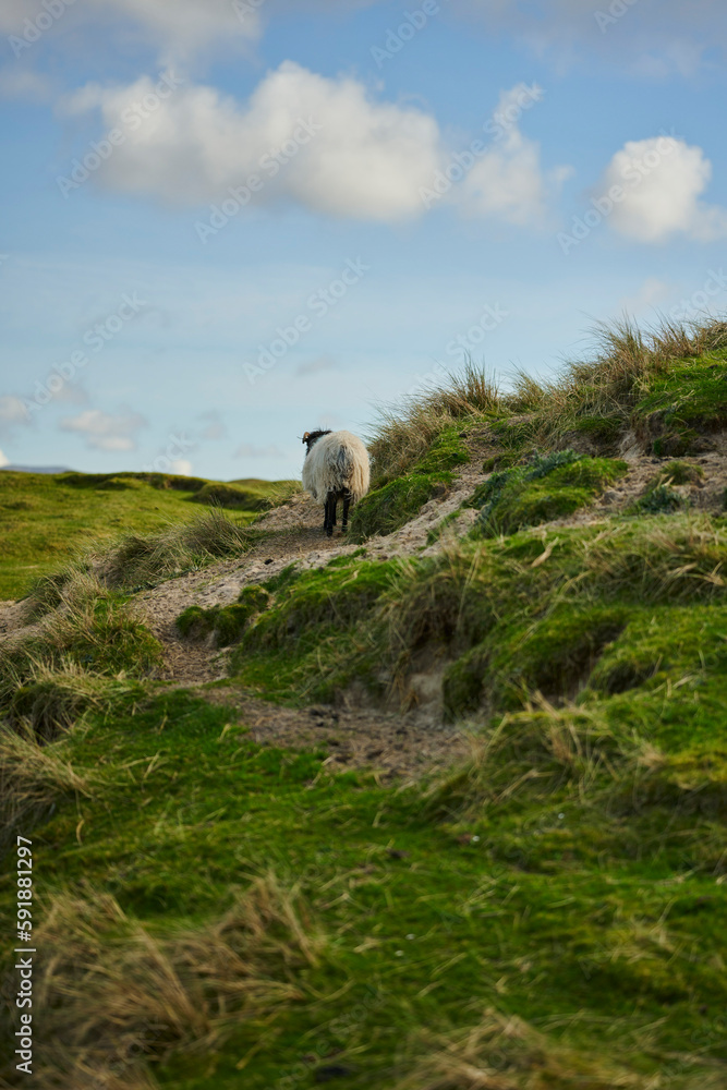 Obraz premium Irland