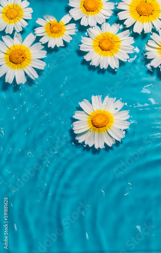 Beautiful chamomile flowers in the water of a pool