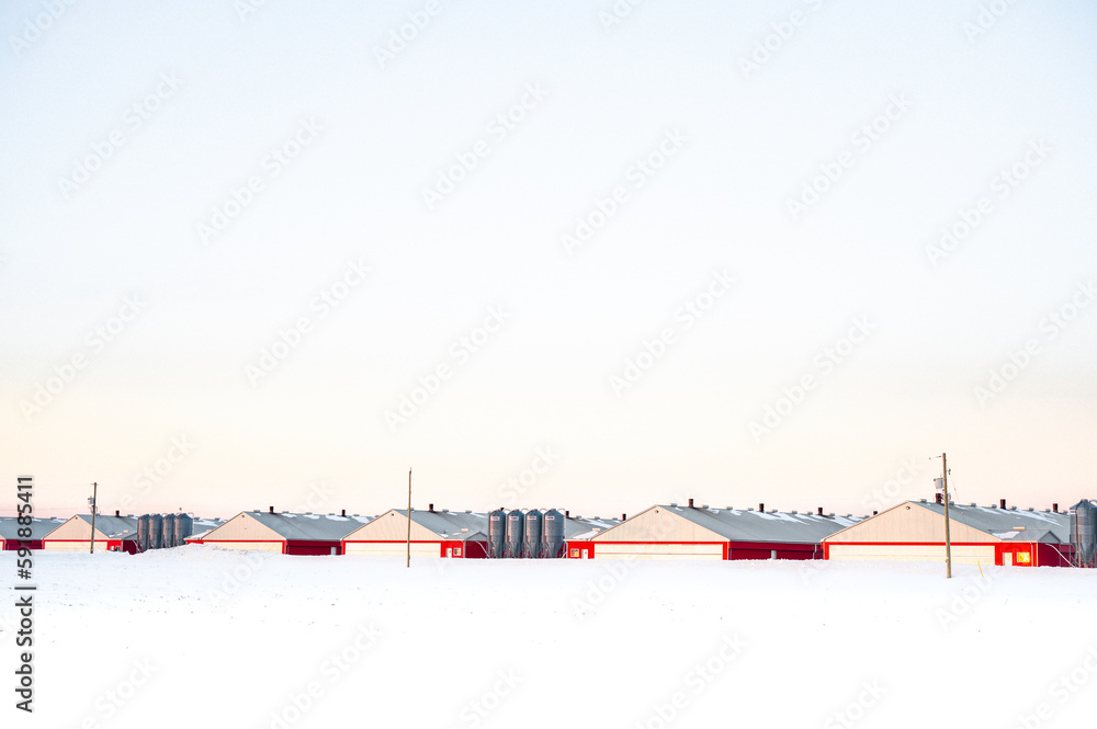 Winter landscape, identical farm buildings arranged in a row, Elora Ontario Canada. White background Winter landscape, identical farm buildings arranged in a row, Elora Ontario Canada. White background