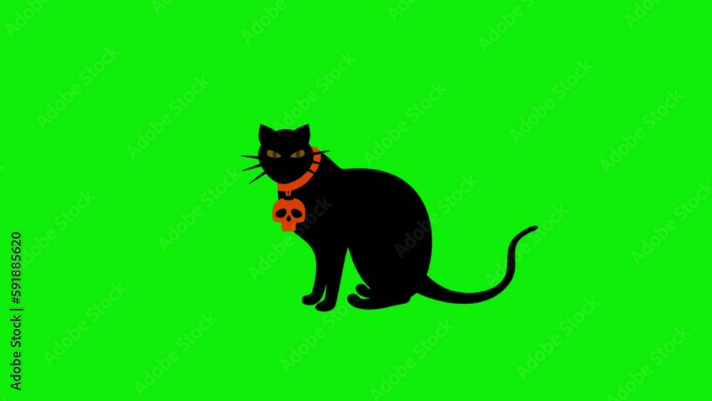 Animated black cat wearing a skull necklace, with green screen background, perfect for icons, mascot, halloween, etc. Animated black cat wearing a skull necklace, with green screen background, perfect for icons, mascot, halloween, etc.