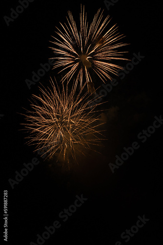 Yellow fireworks in the night sky
