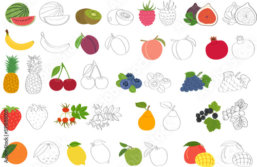 Fototapeta Naklejka Na Ścianę i Meble -  Set of fruits and berries with vitamin C - flat cartoon vector illustration. Doodle template for children's educational coloring books and packaging for juices and diet food.