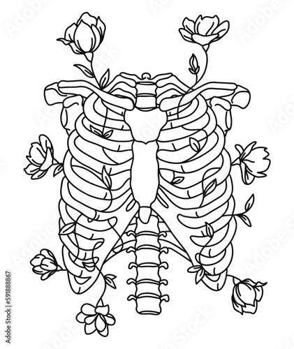 Rib Cage and Flowers. Floral Rib Cage. Skeleton