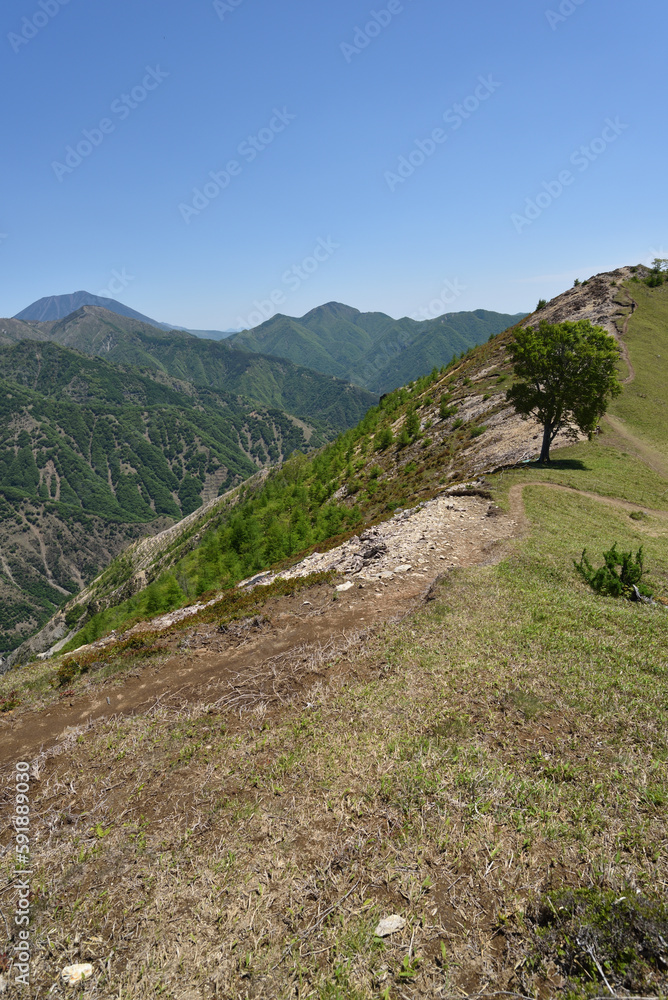 Fototapeta premium Climbing Mt. Nakakura, Tochigi, Japan