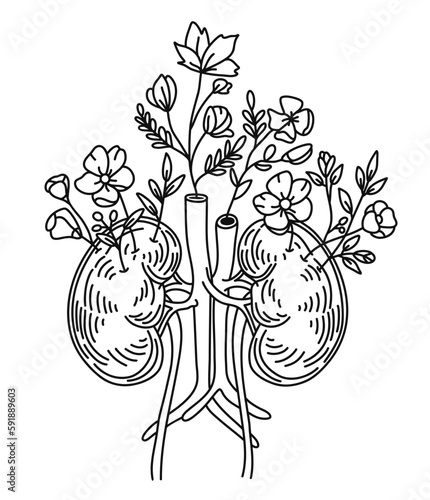 Floral Kidneys. Kidneys with Wildflowers. Vector illustration