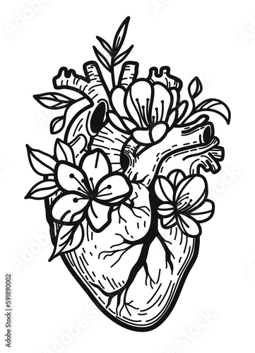 Anatomical heart and flowers, floral heart. Vector illustration.