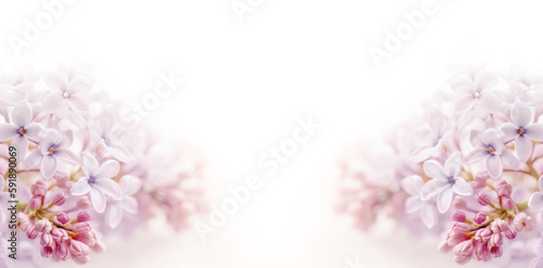 Soft focus image of lilac flowers on white background. AI generated © misu