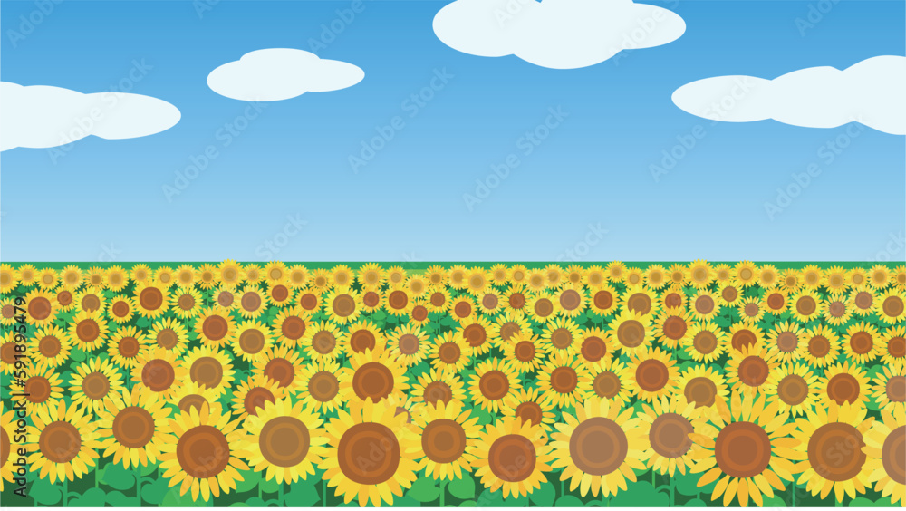 雲が浮かぶ青空とひまわり畑の風景画