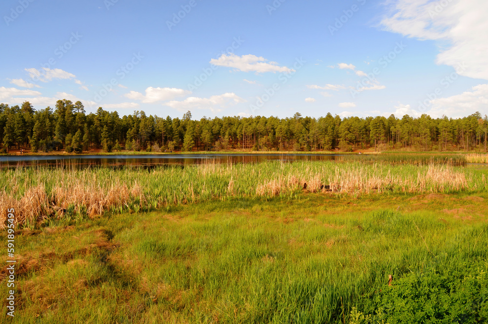 Lake of the woods Arizona