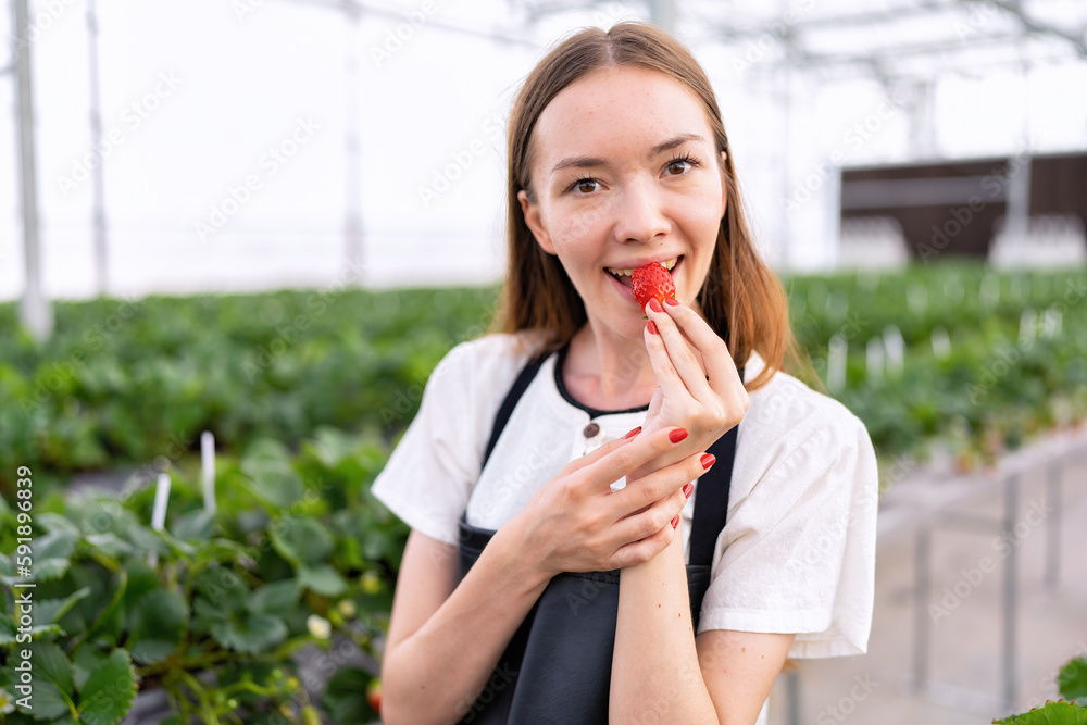 Biologist holding strawberries and bite smile portrait in plant nursery plantation Biologist holding strawberries and bite smile portrait in plant nursery plantation