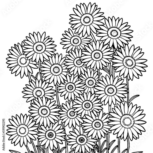 Coloring page of daises on white background