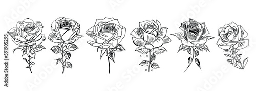 The Six Roses Coloring Book showcases six distinct roses, each with its unique design, portrayed through captivating illustrations.