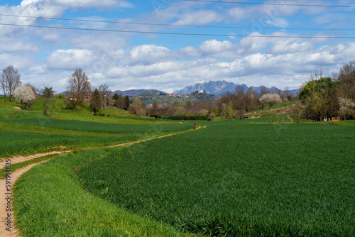 Rural landscape in Brianza near Usmate and Lomagna